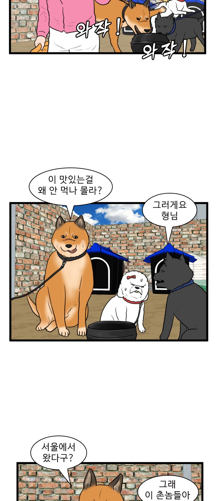 12 페이지
