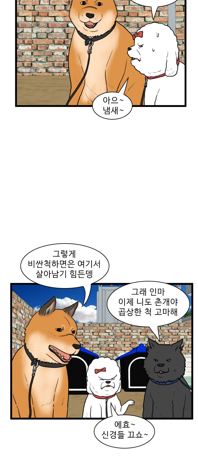 13 페이지
