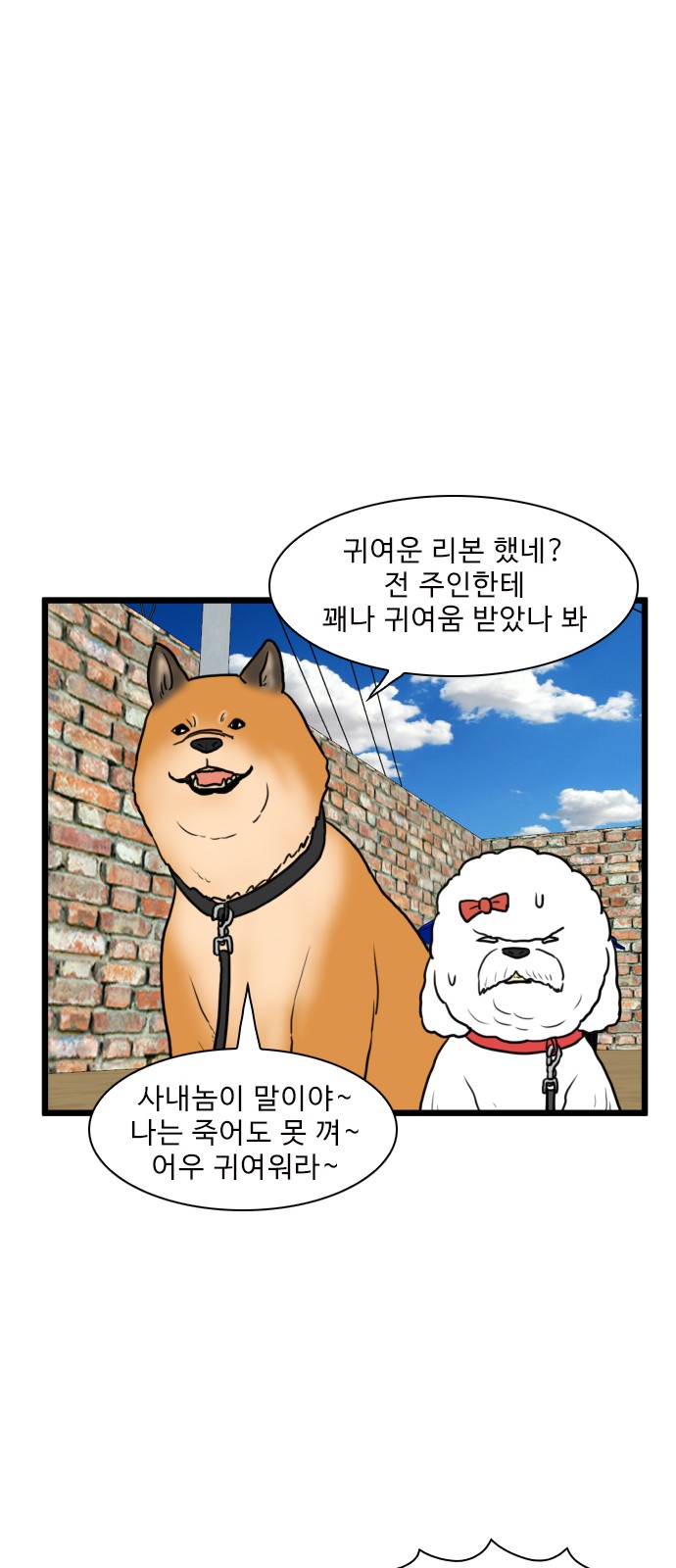 14 페이지