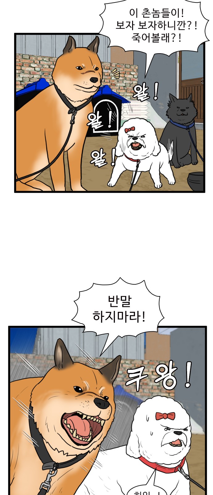 15 페이지