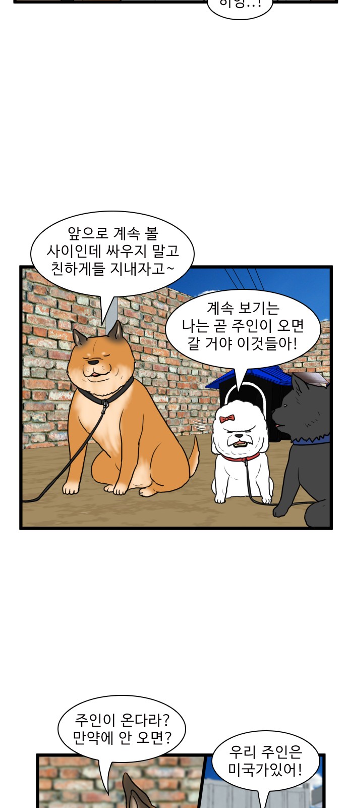 16 페이지