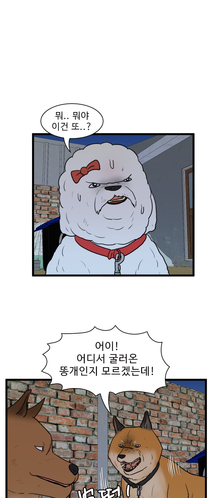 41 페이지