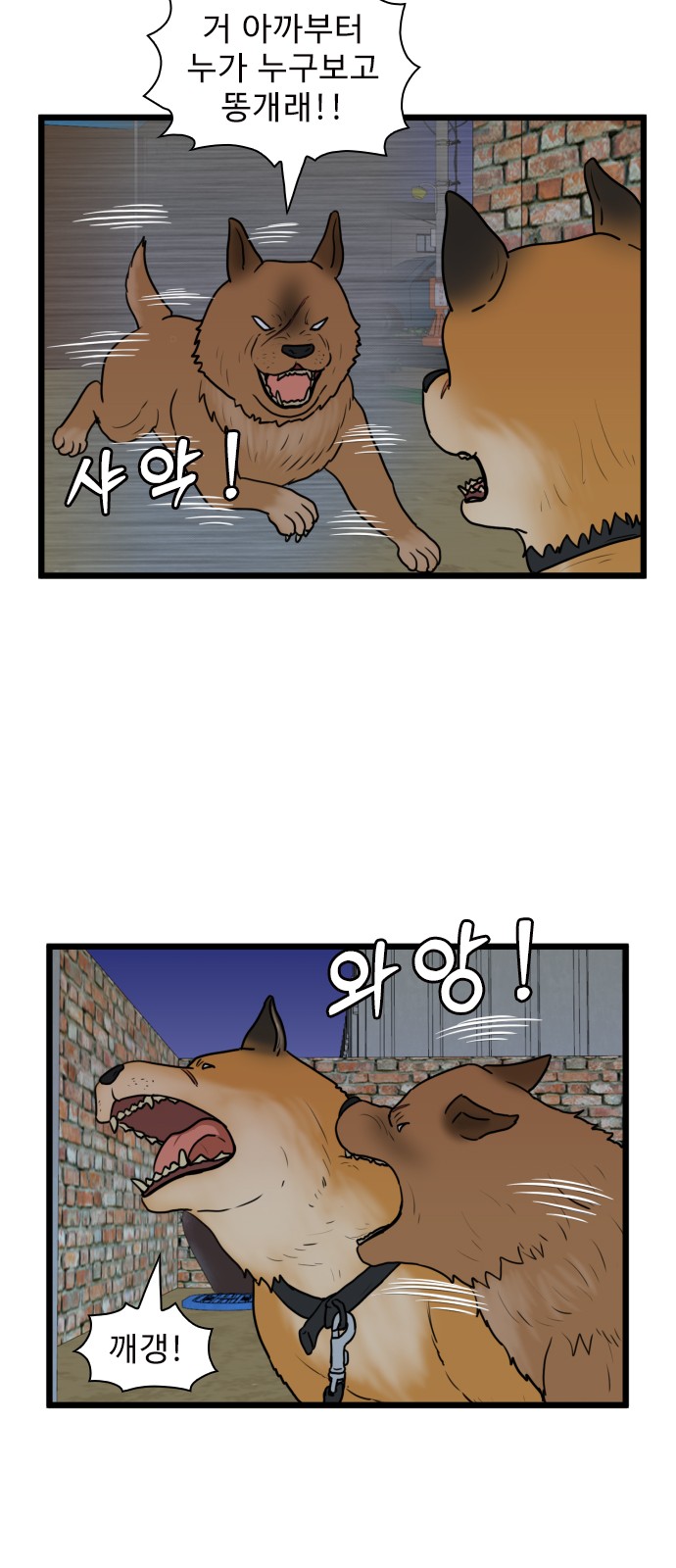43 페이지
