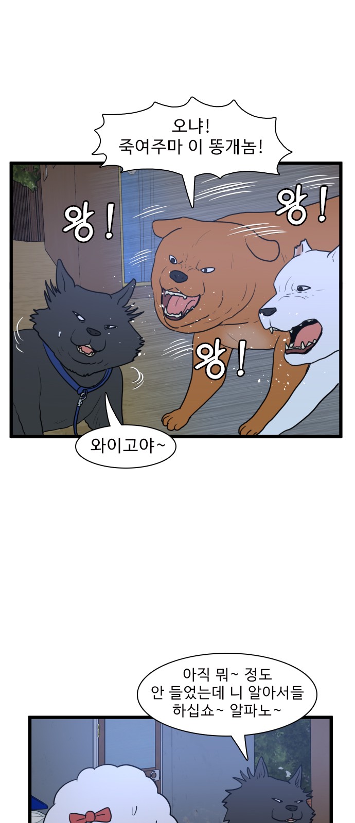 11 페이지