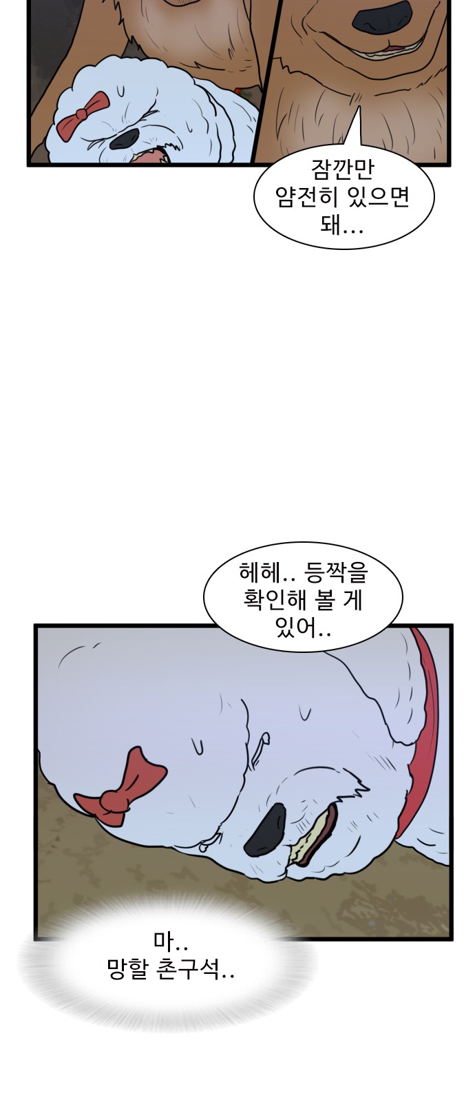 14 페이지