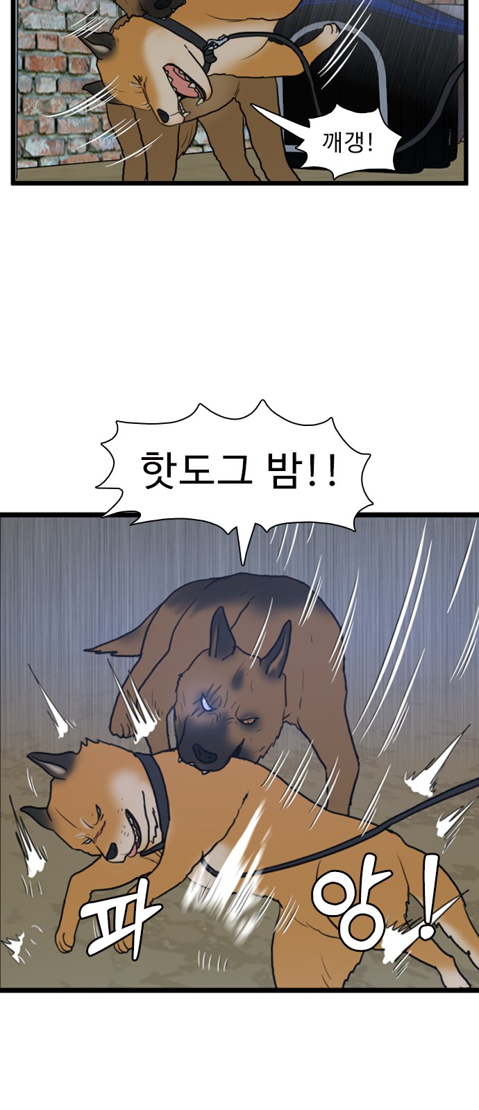 16 페이지