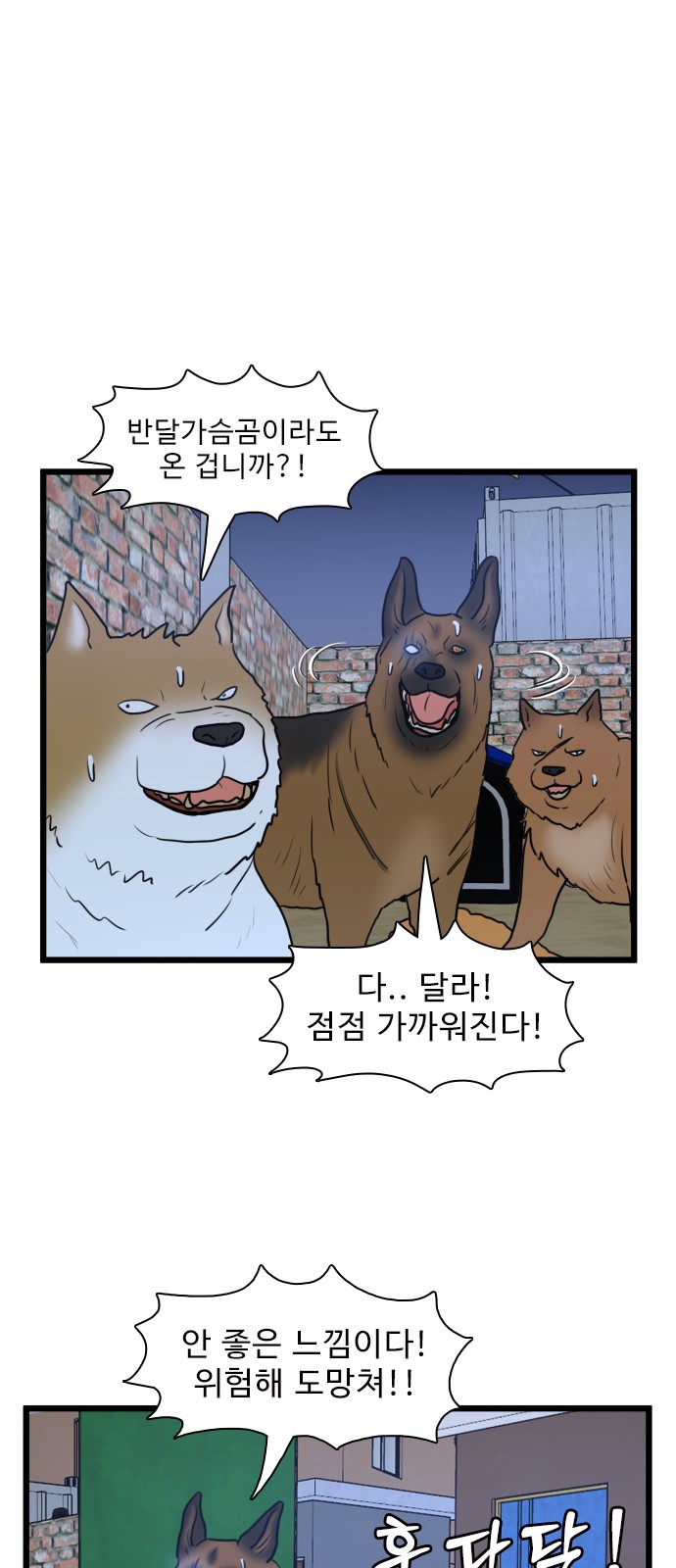 19 페이지