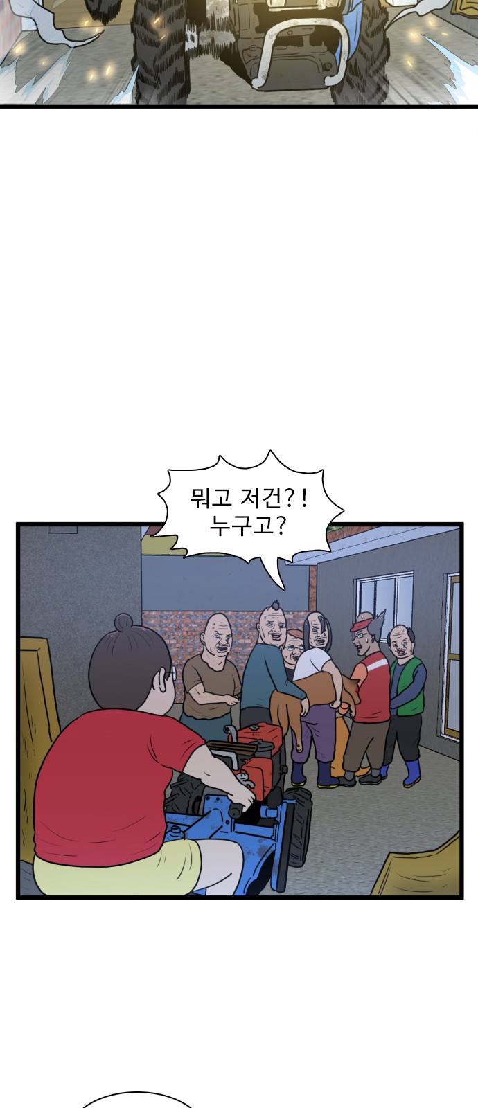 46 페이지