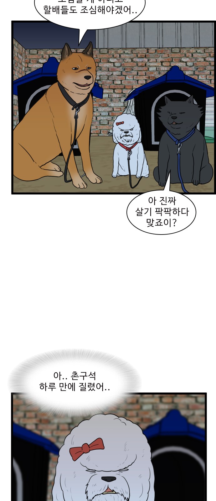 23 페이지