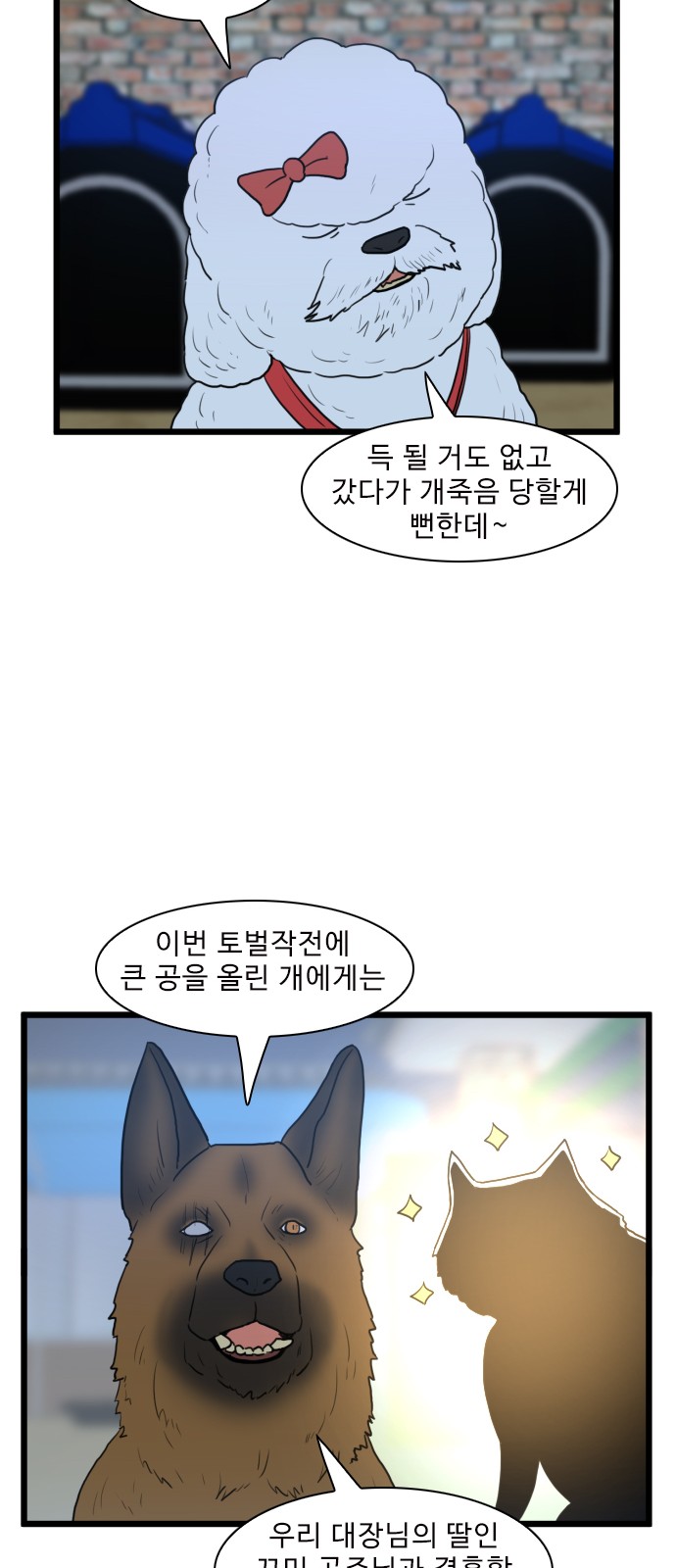 43 페이지