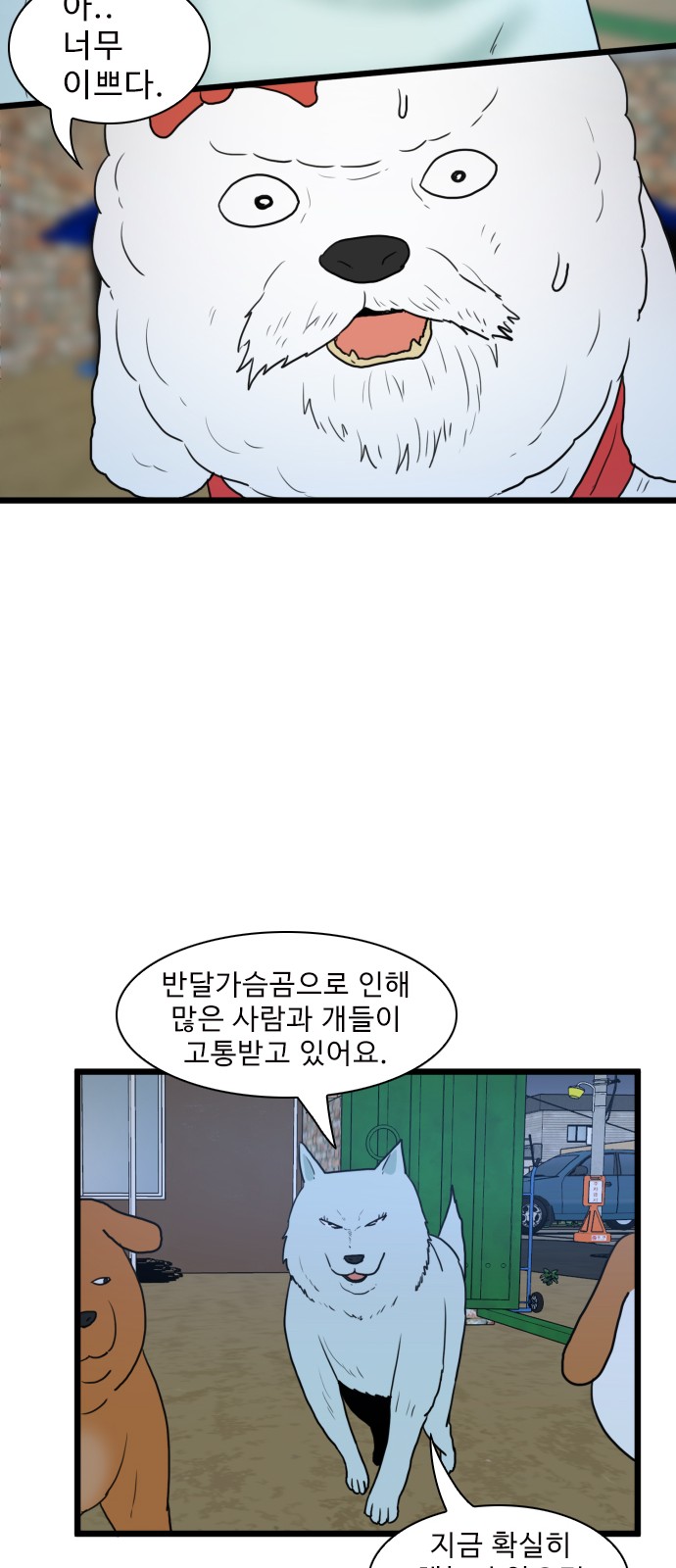 13 페이지