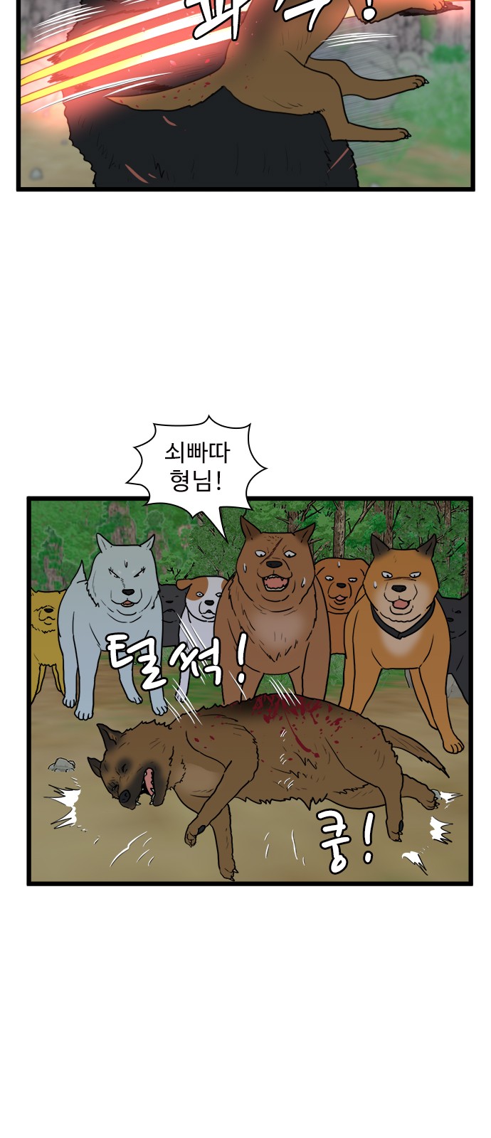 13 페이지