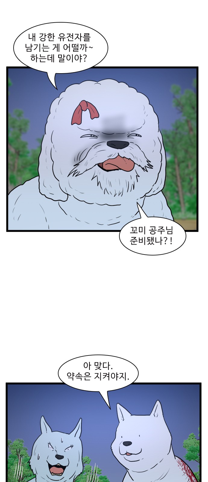 14 페이지