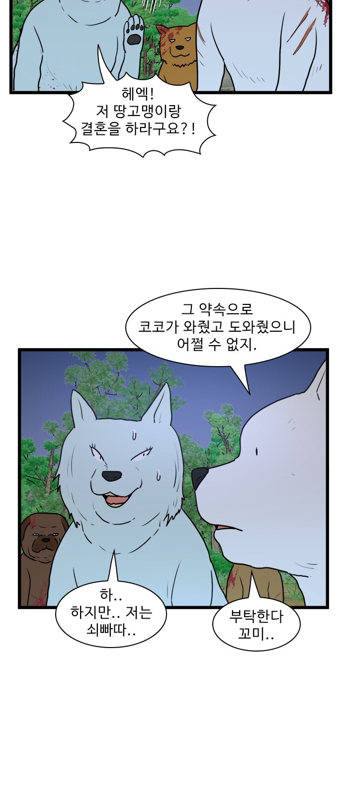 15 페이지
