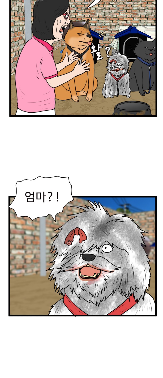31 페이지