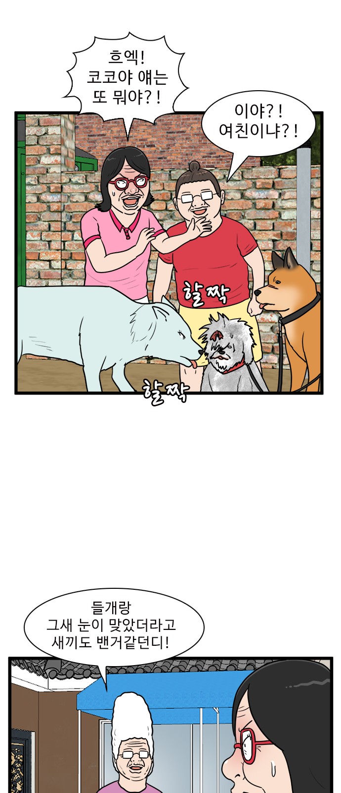 36 페이지