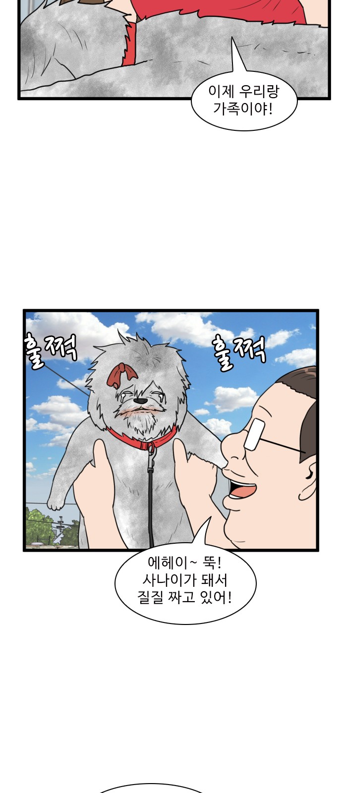 12 페이지