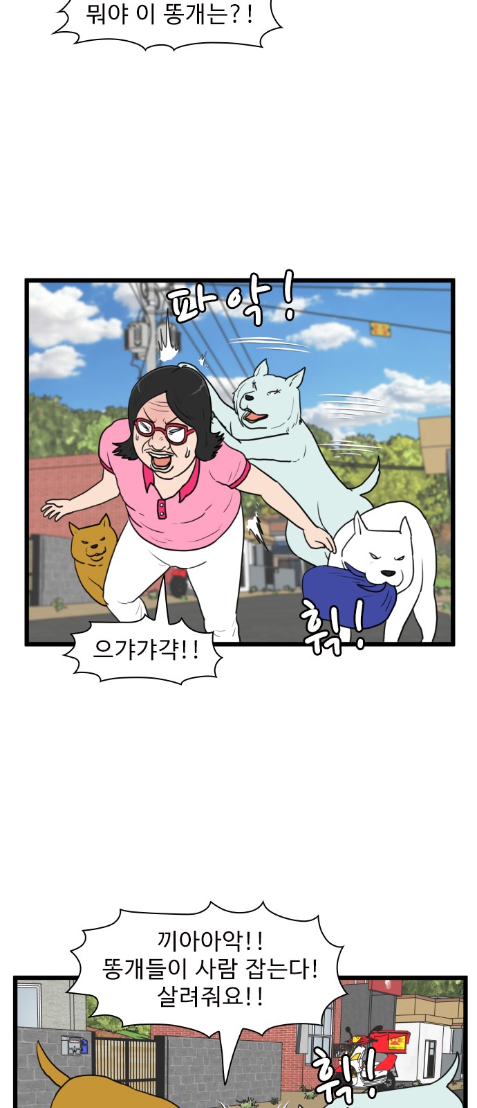 16 페이지