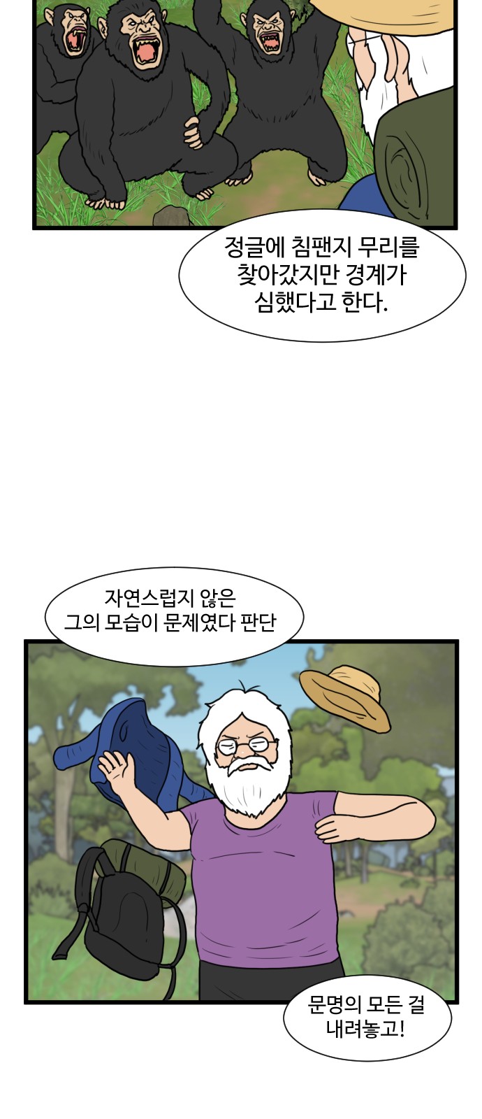 36 페이지