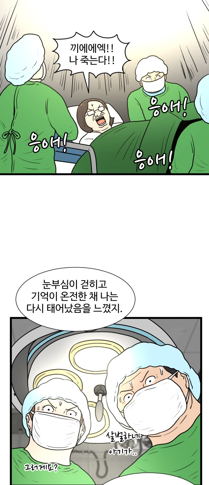 33 페이지