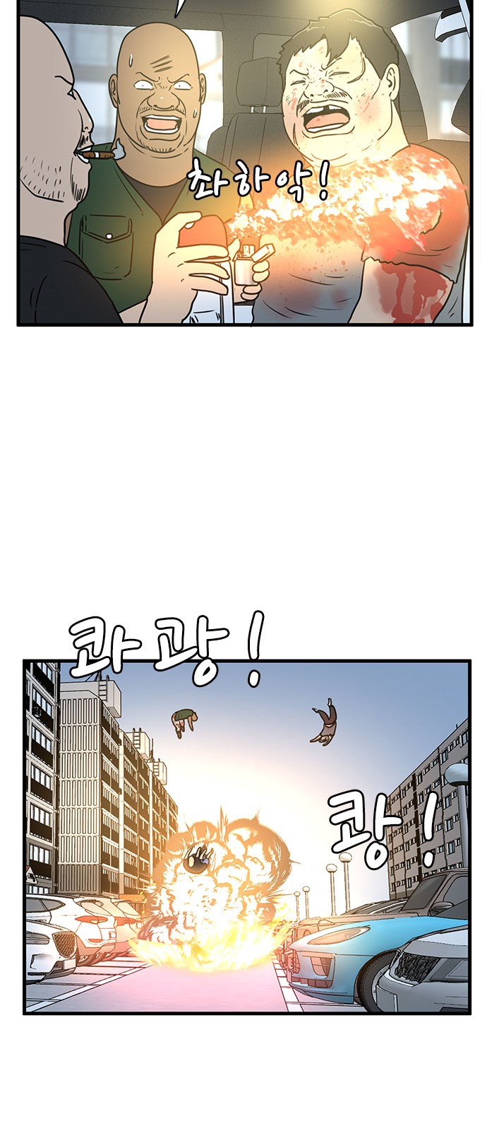 19 페이지