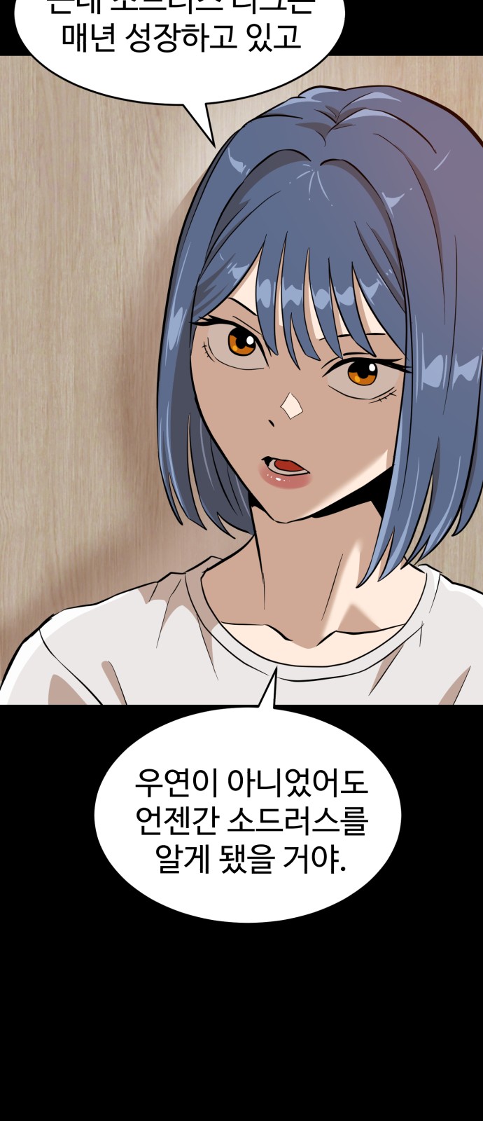 53 페이지