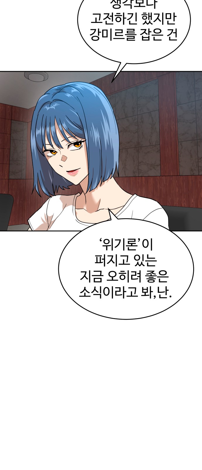67 페이지