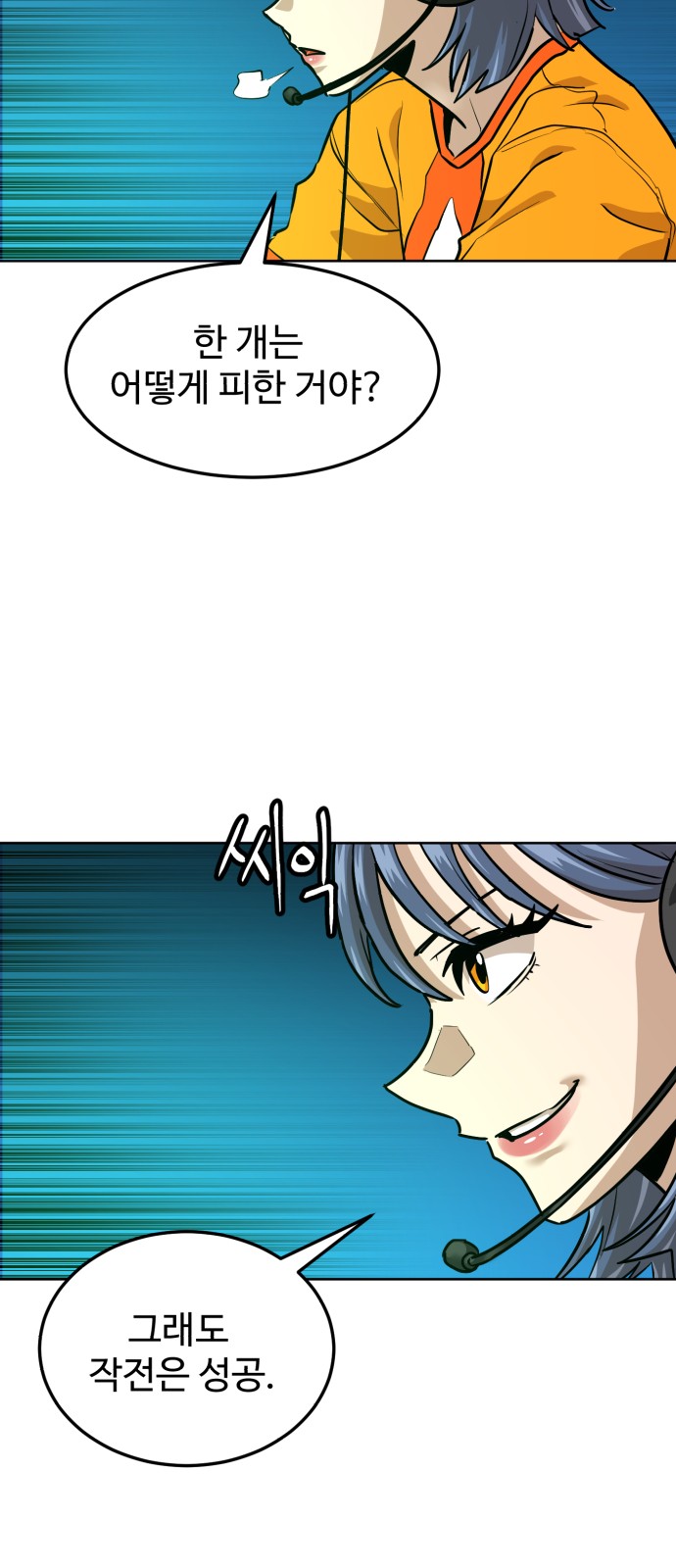 66 페이지