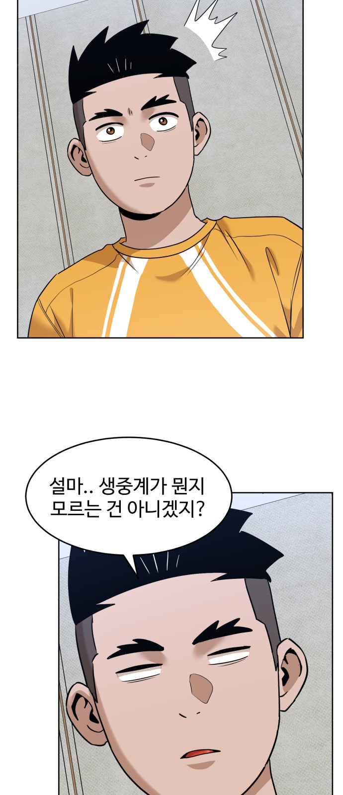 6 페이지