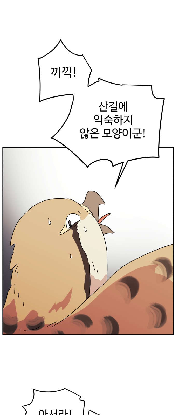43 페이지