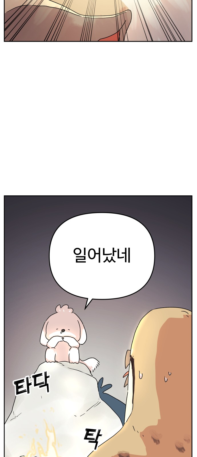 5 페이지