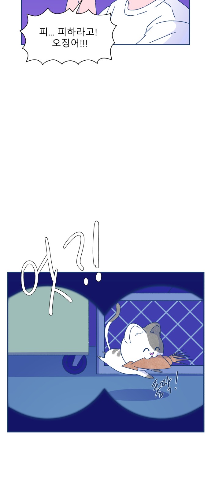 5 페이지