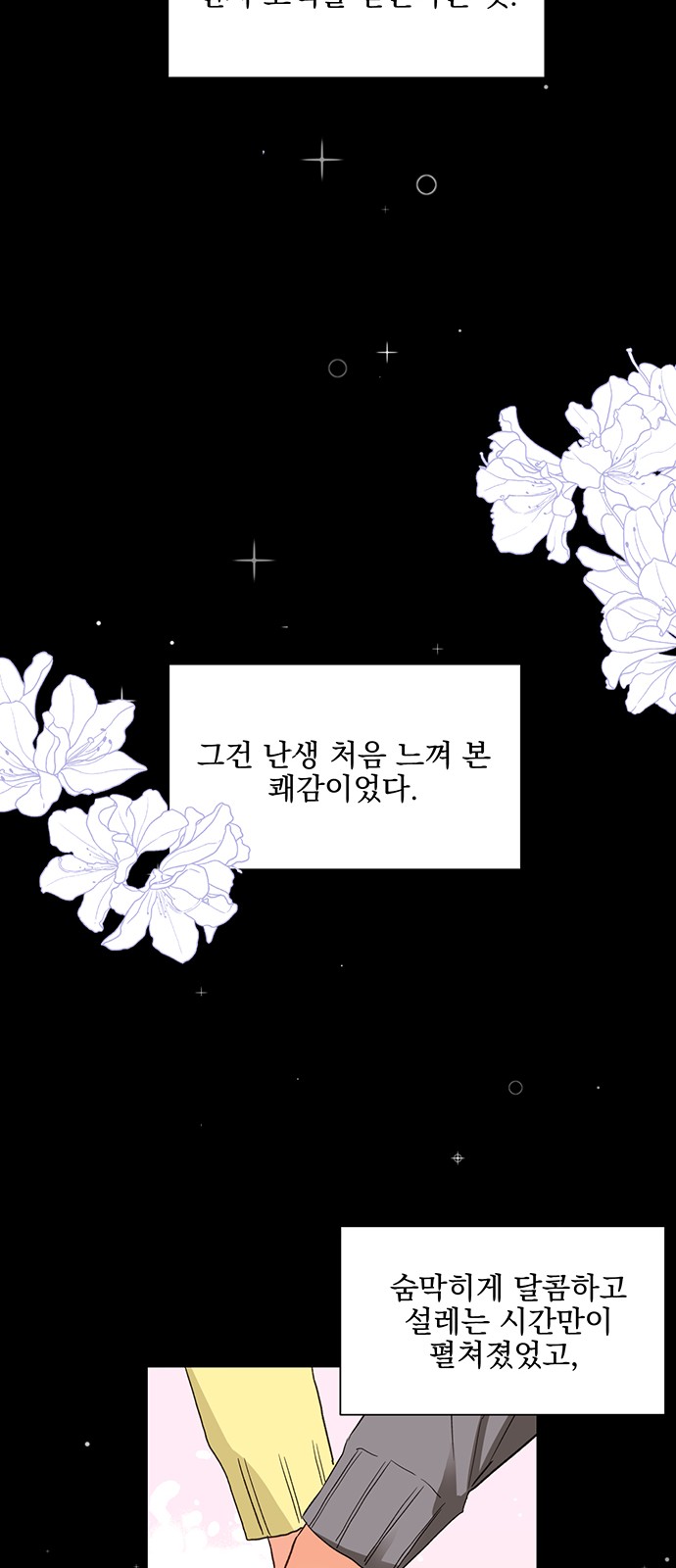 43 페이지