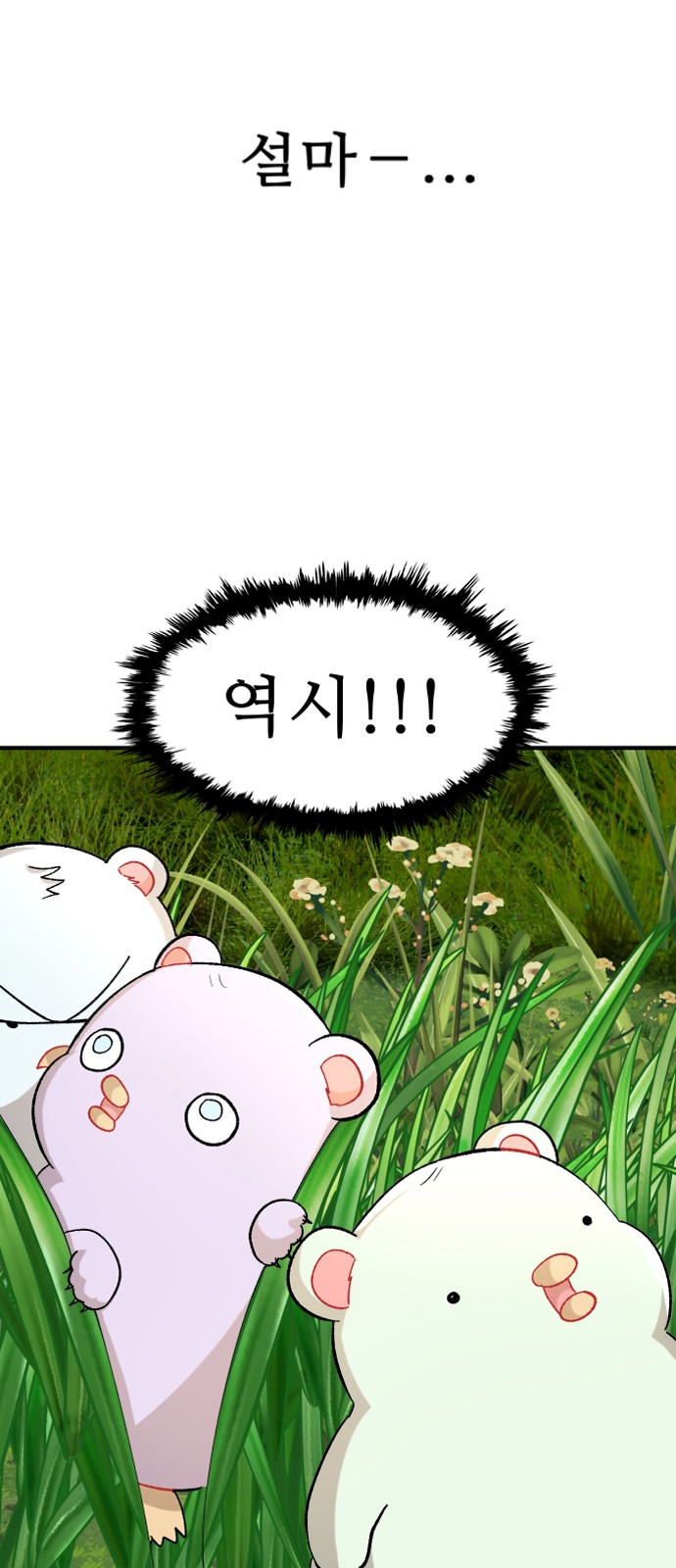 100 페이지