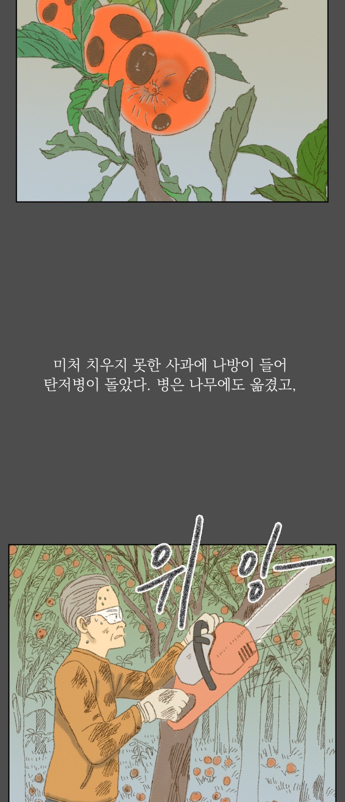 13 페이지