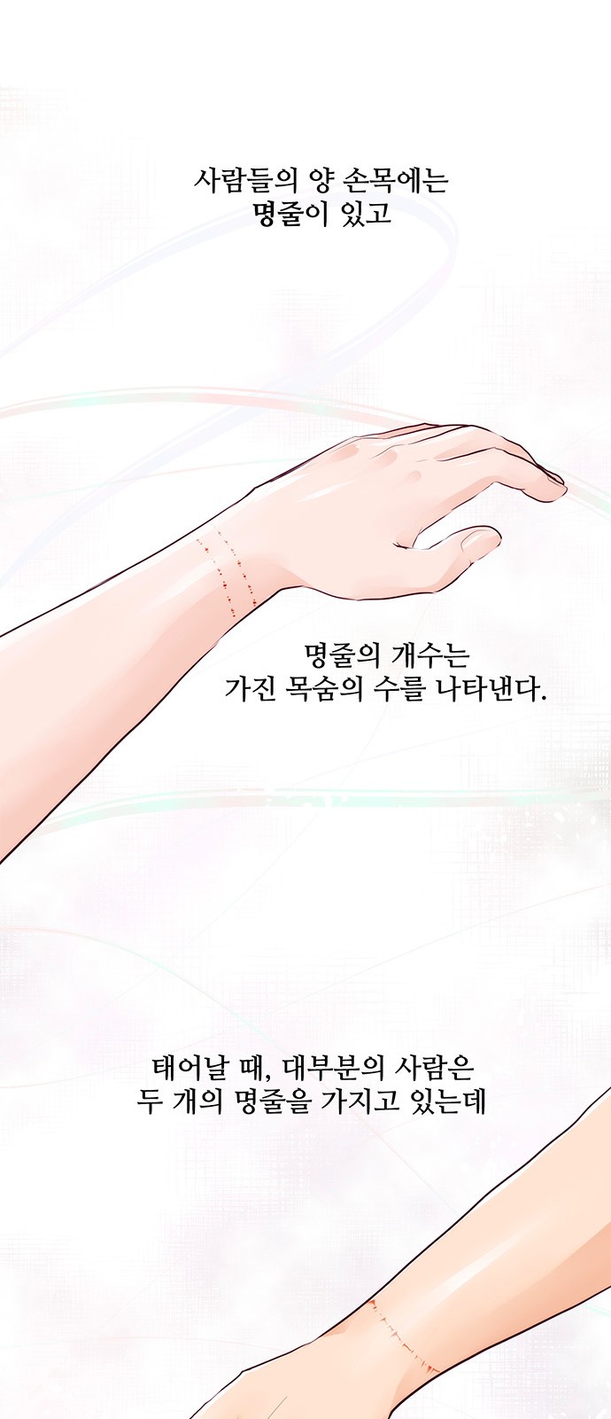45 페이지