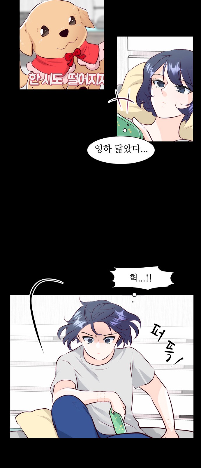 43 페이지