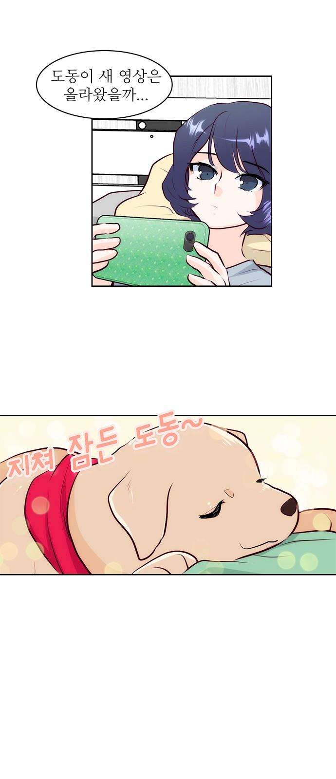 42 페이지