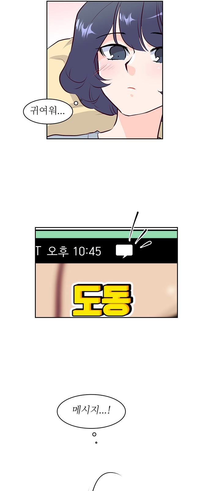 43 페이지