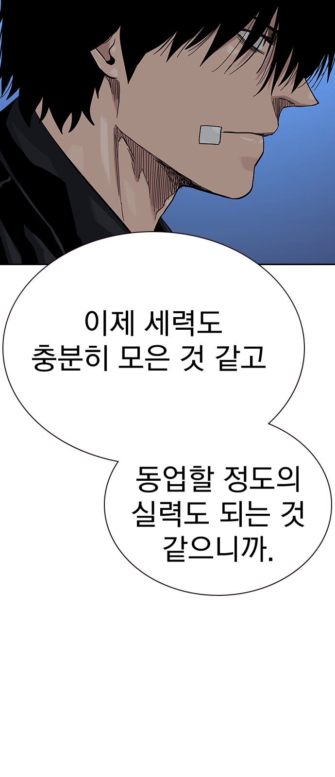 43 페이지