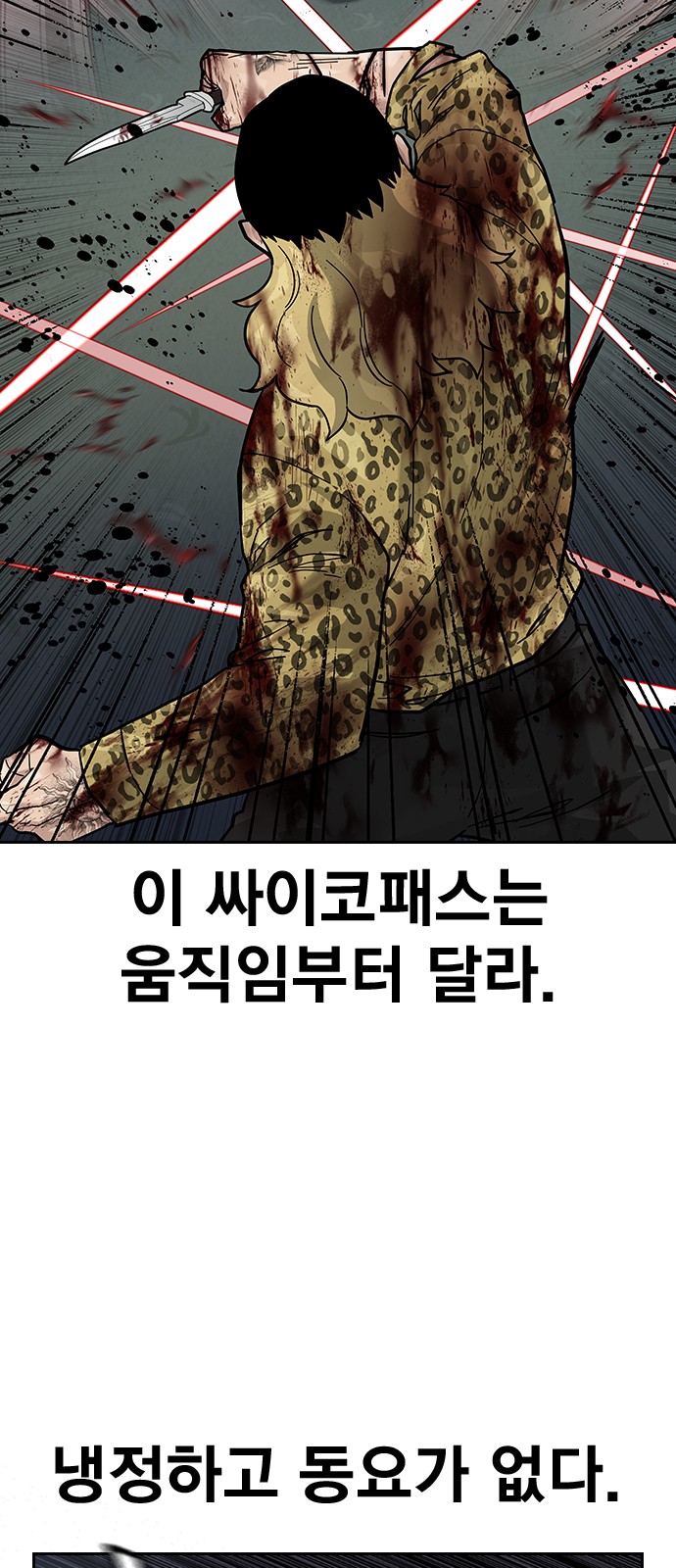 100 페이지