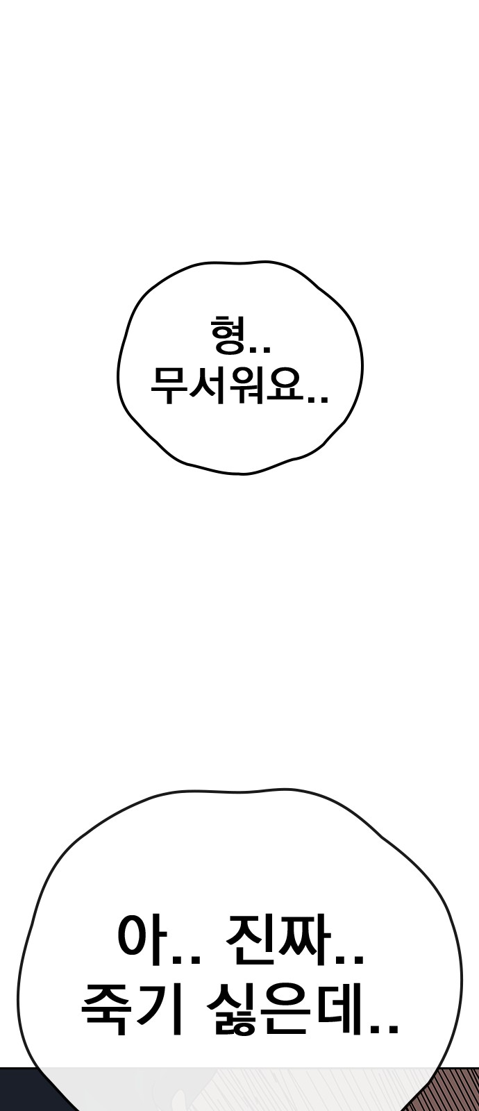 113 페이지