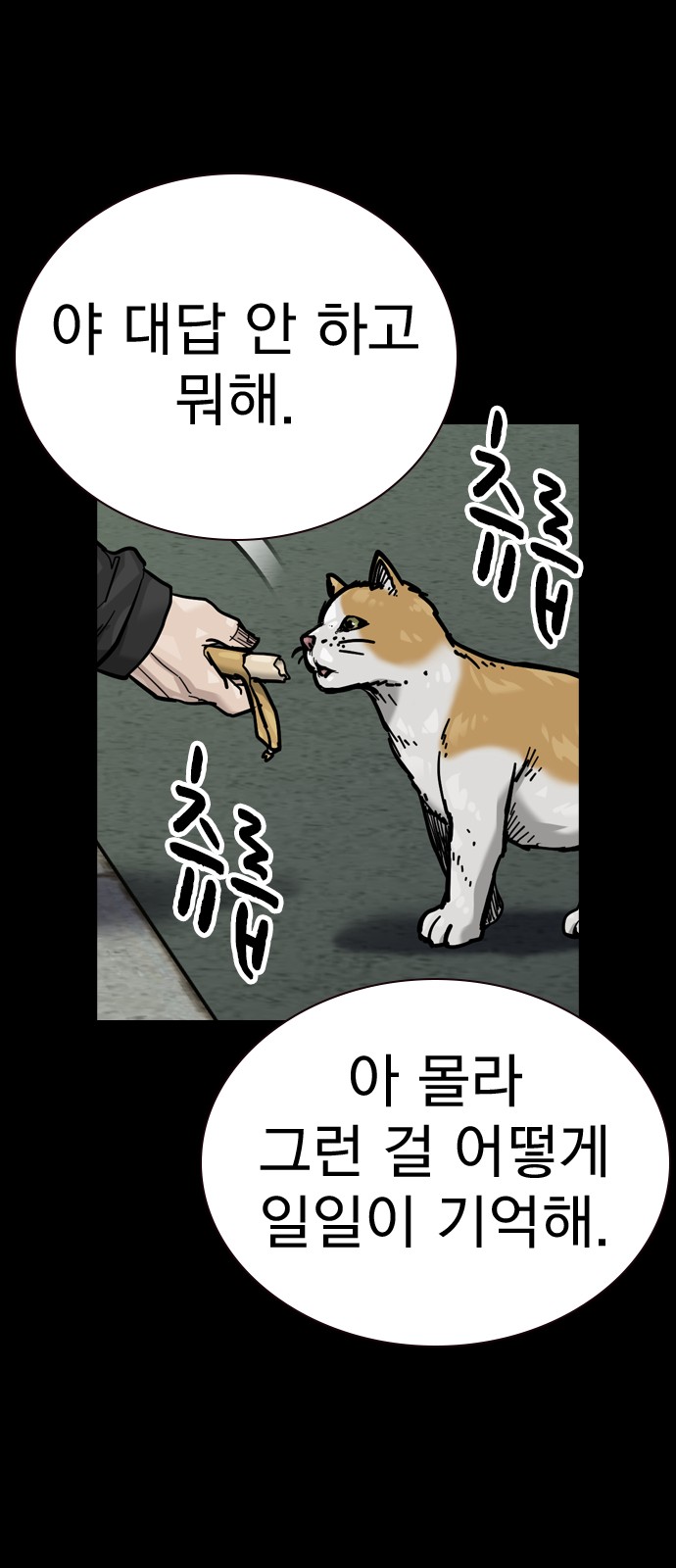 82 페이지