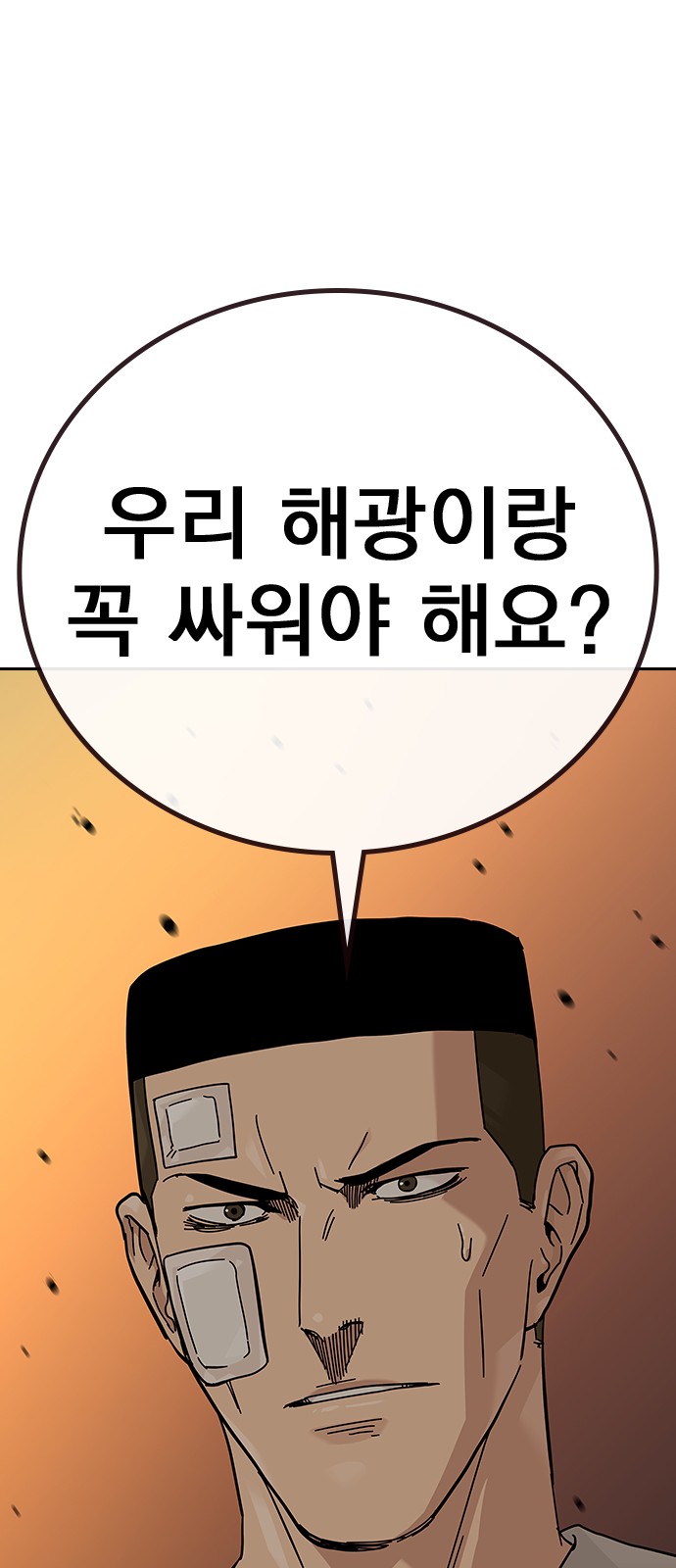 116 페이지