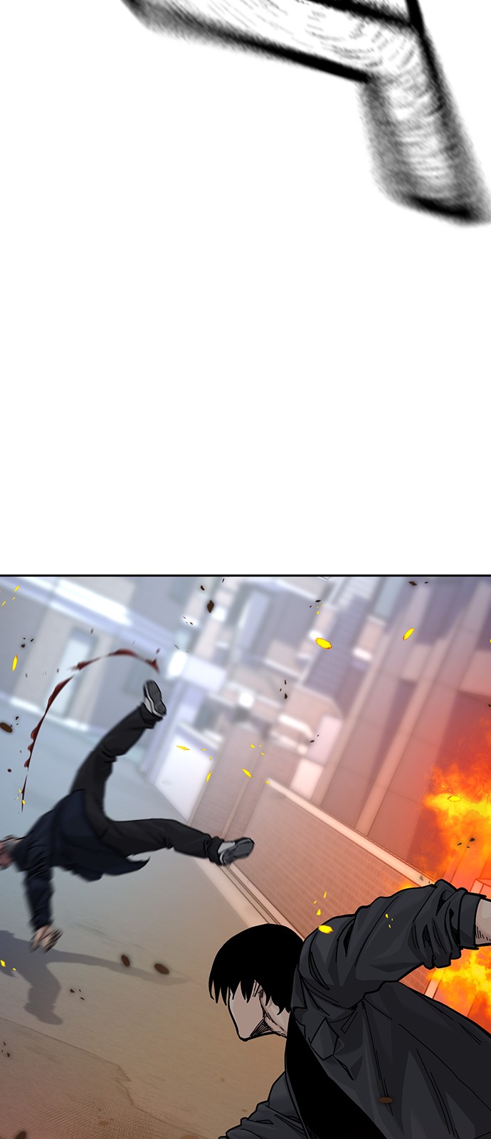 224 페이지