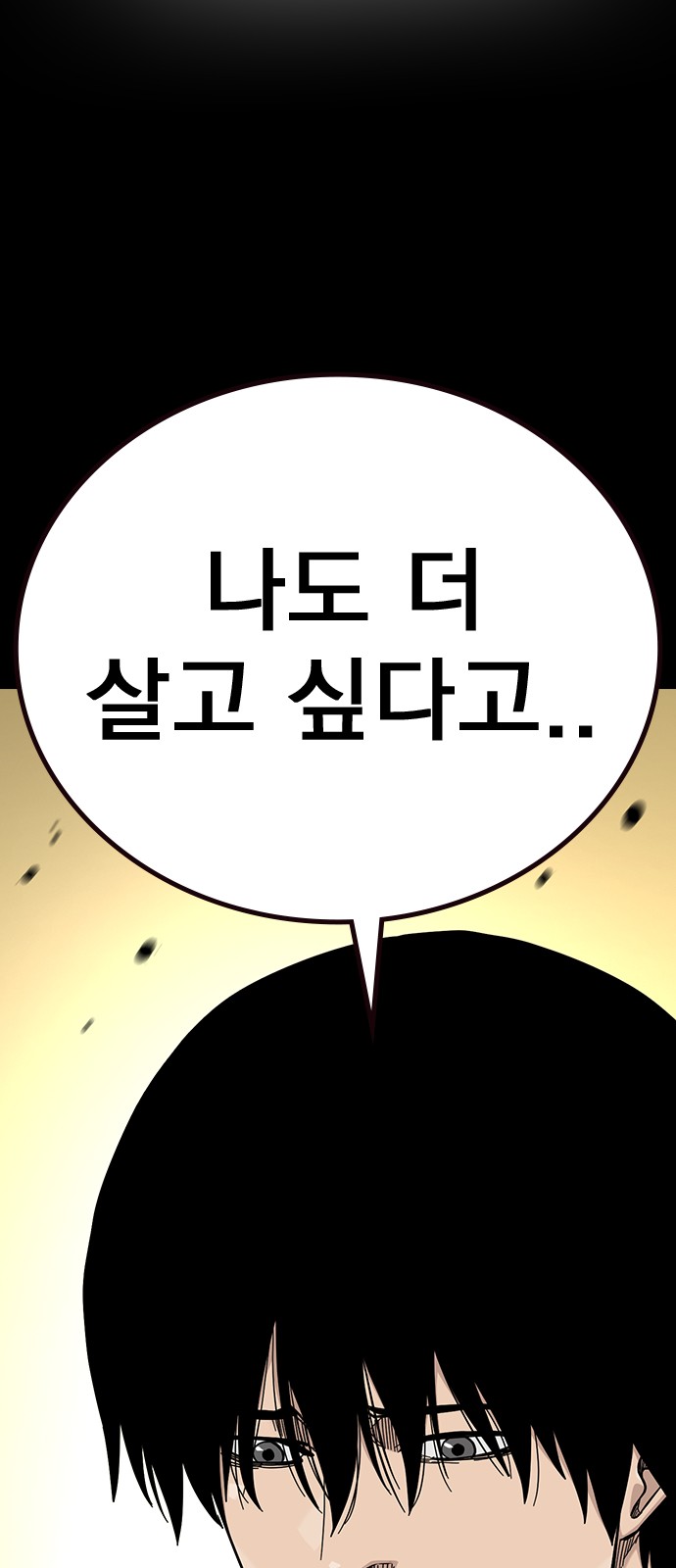 253 페이지