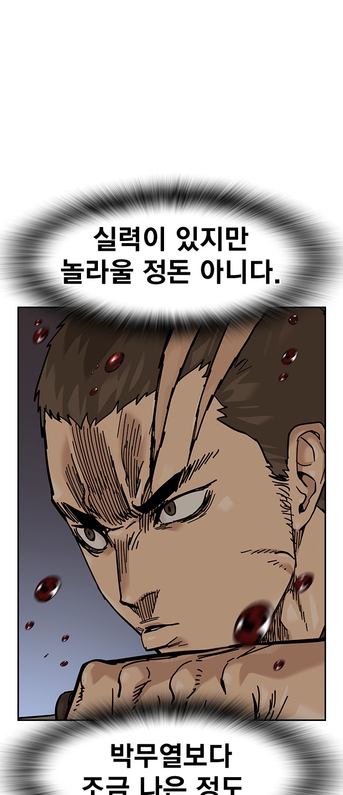 113 페이지