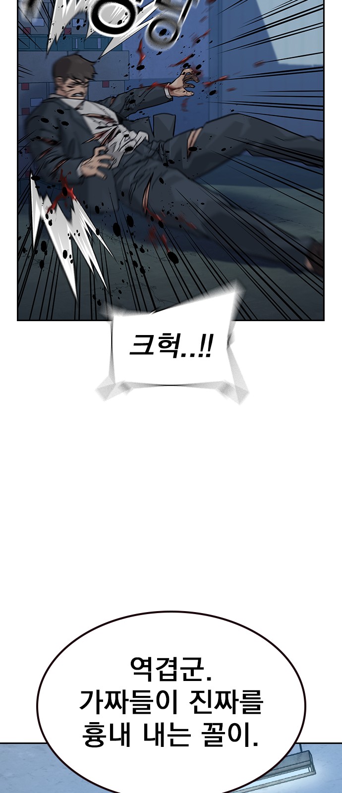 113 페이지