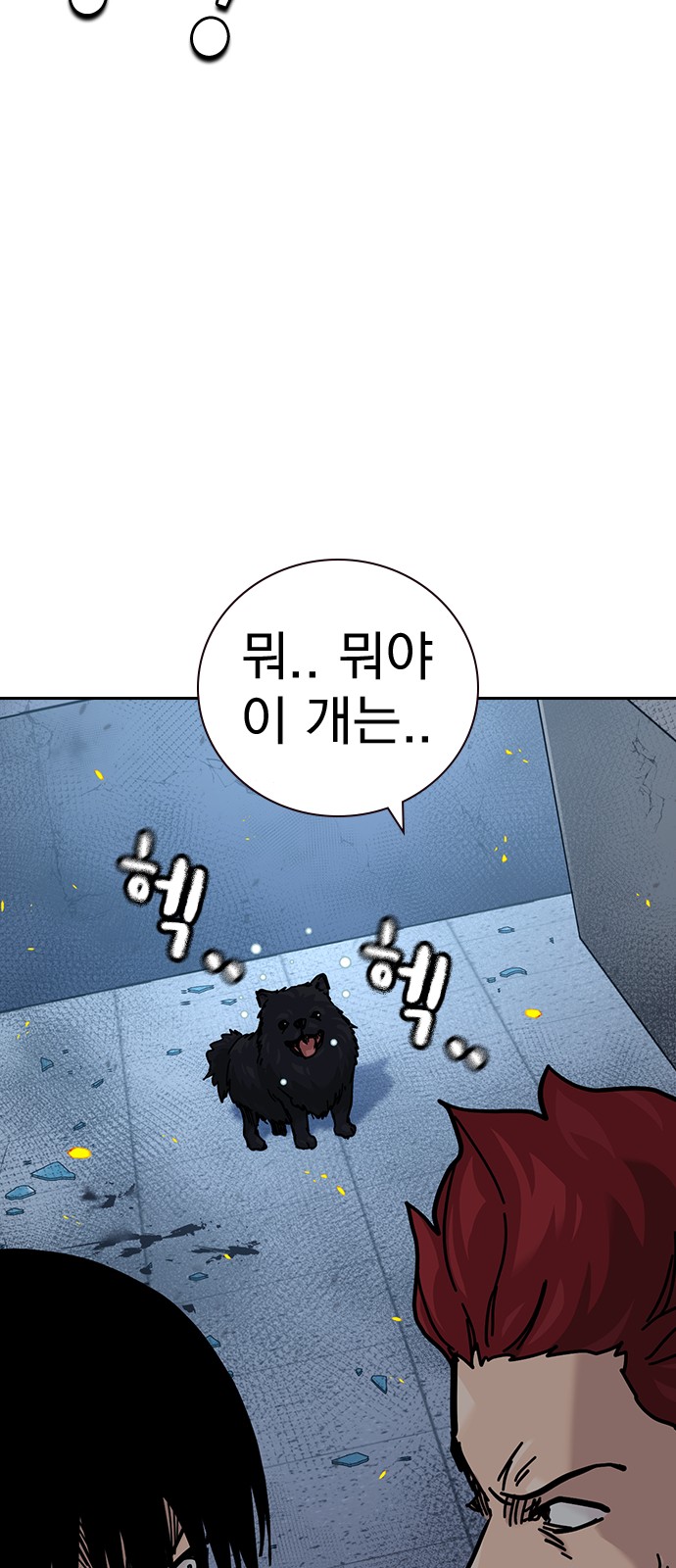 14 페이지