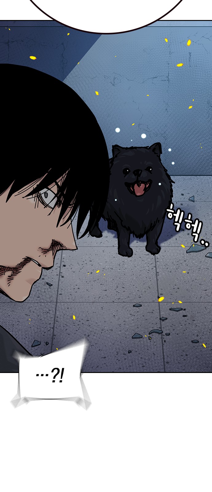 20 페이지